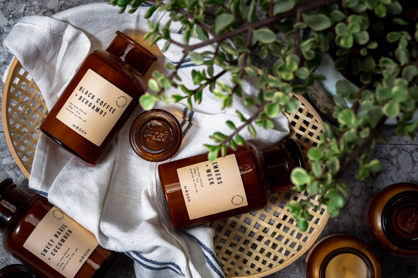 MÆGEN Alchemist Candle - Sweet Basil & Cucumber