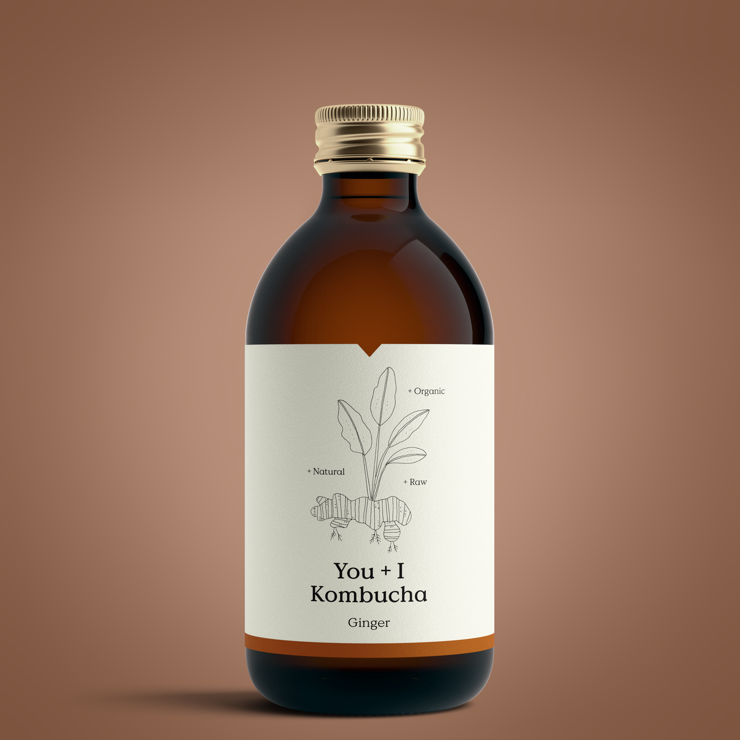 Kombucha (12 x 330ml)