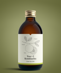 Kombucha (12 x 330ml) - KOLAB by Makers Quarter