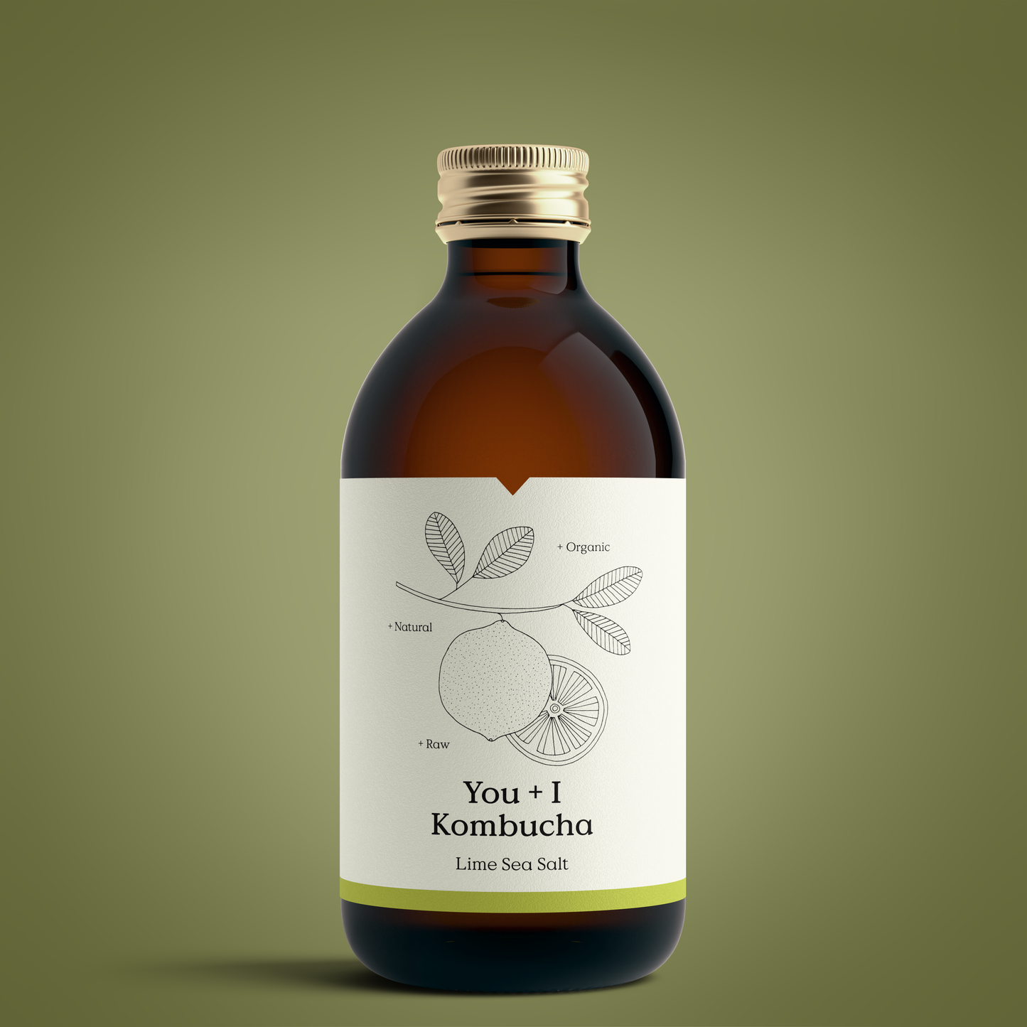 Kombucha (12 x 330ml)