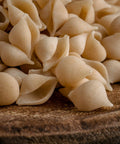 Conchigliette - KOLAB by Makers Quarter