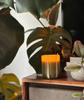 Atina Candle - Fresh Olive & Lemon - KOLAB by Makers Quarter